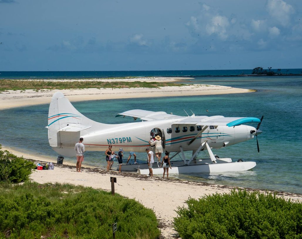 pexels-olliecraig1-28084238